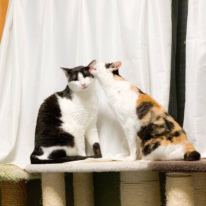 9300c873 512c 486b a125 c612c6a7e119 1565314926665