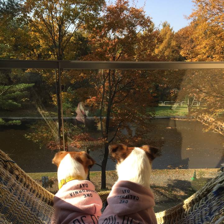 93010c3d ac96 4014 8d31 7ee38fa9bbc4 1509856468436