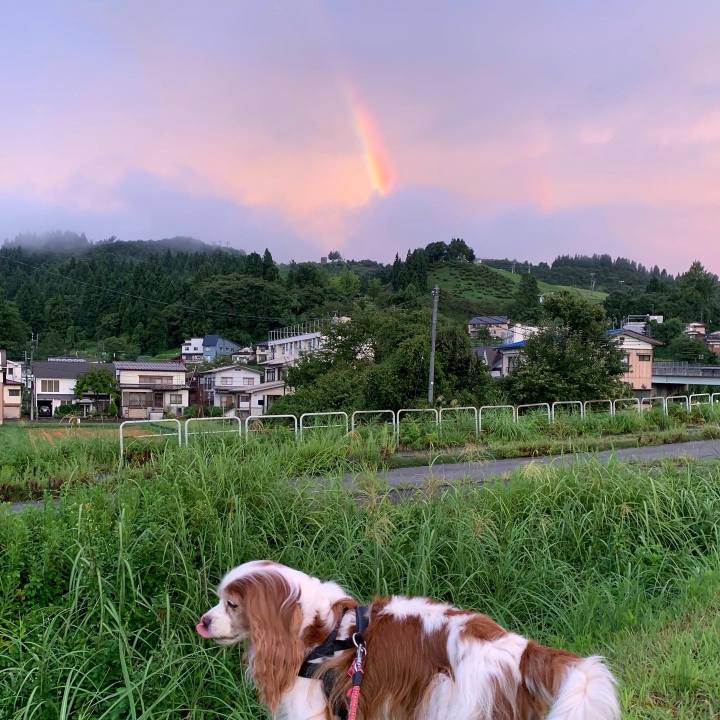 93010f70 df80 4bf6 8643 dc4f73e209e1 1599686491971