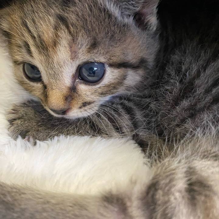 93013ffb cdc4 4459 9d89 e1f305d13d91 1636183778715