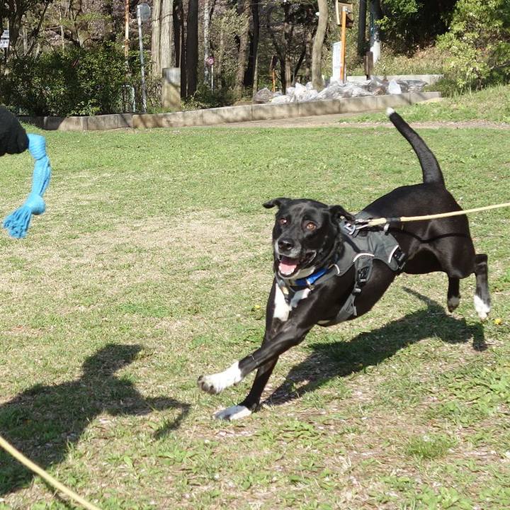 93019718 2c75 41ed b235 d318e22b5bbf 1649379273513