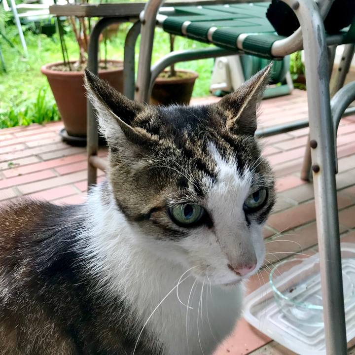 9301c15a 23c8 4abe b254 2fde2f91de76 1529131748894