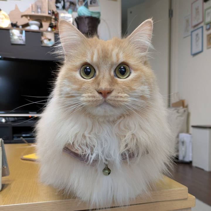 9302037c d8ed 42cb 8f3b d22d100e0bdb 1746522314730