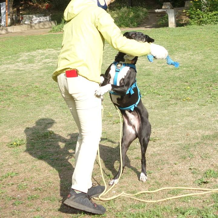 93020ef5 ba5a 4d23 8be3 8a0bf0379324 1617839502934