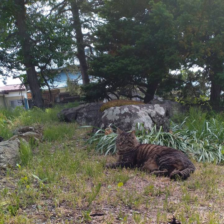 93022a89 9a2d 4361 96e9 b6ab0d9eee09 1716110802939