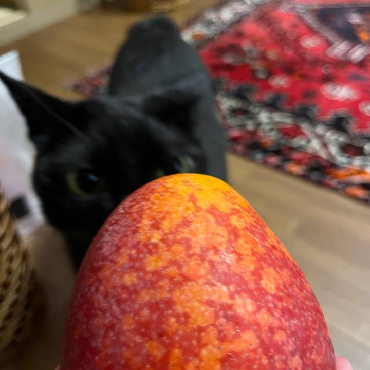 9302369d f81b 46fc a480 989c464a8d75 1752236847192