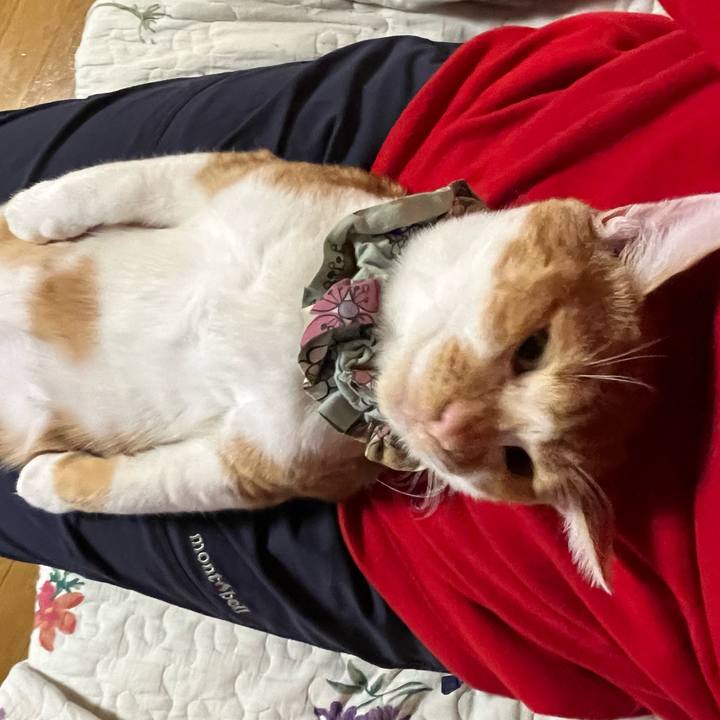 93024240 4d78 469e a9df 62eaa2241ca1 1669890581277