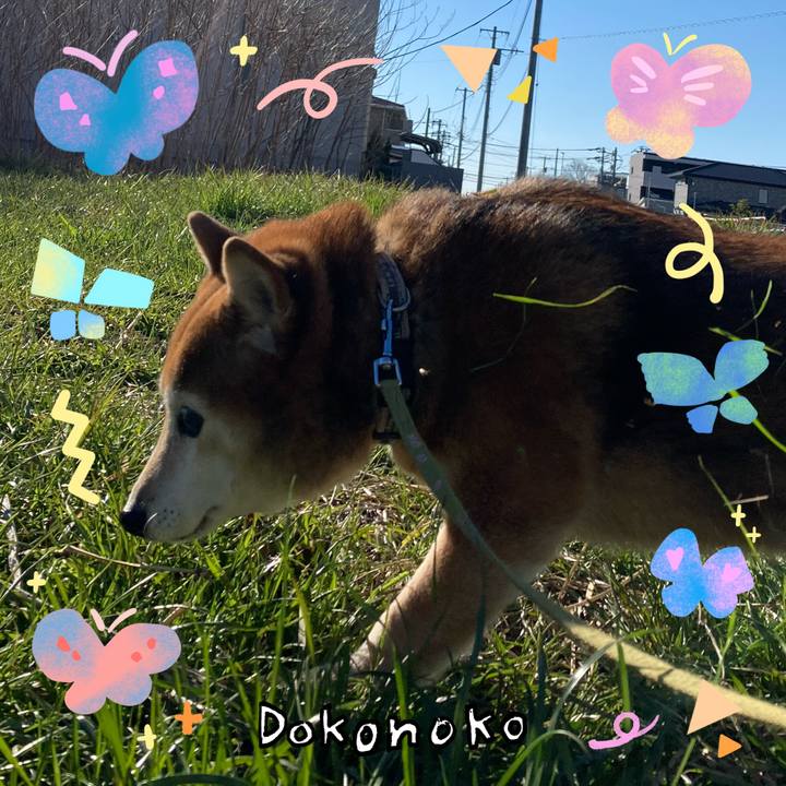 930269b3 5806 40c7 9a70 0c69a7d2e7c1 1711064980389