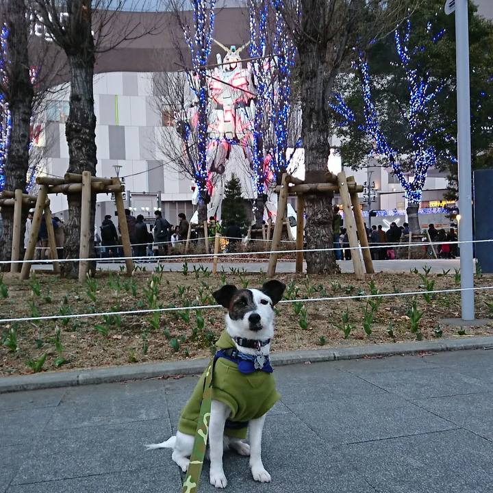 93026ca0 646e 4699 860d ca1ef25ff91f 1518336902151