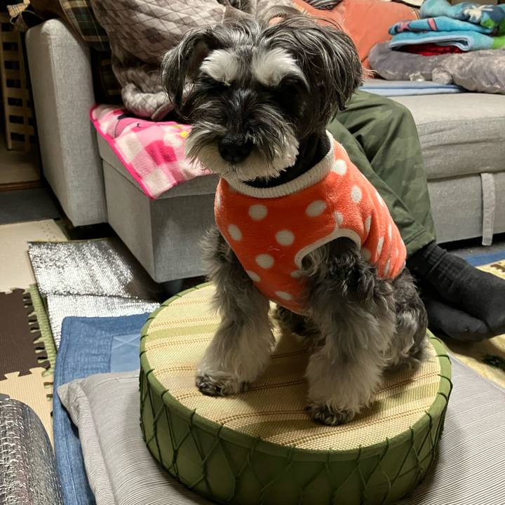 93029740 3b6e 4580 b447 b699df85cec7 1709903576035