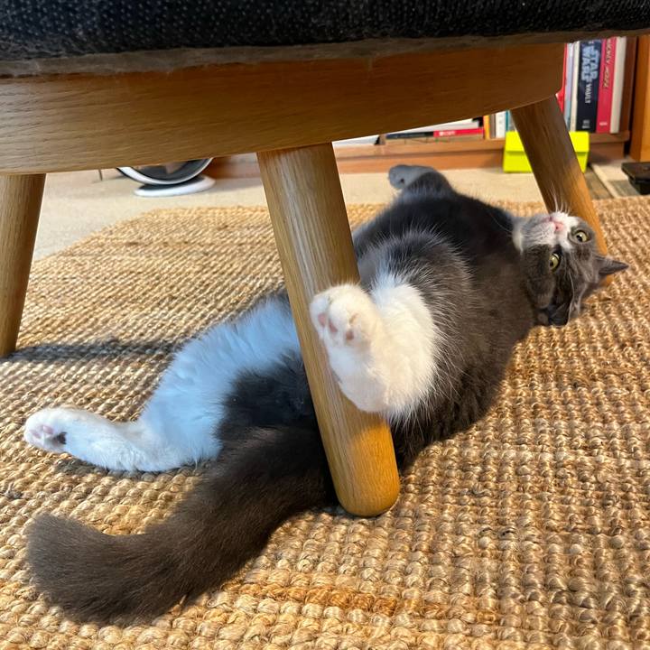 9302d4e6 076c 45c4 8a83 a7c8c5f600c9 1693019552632