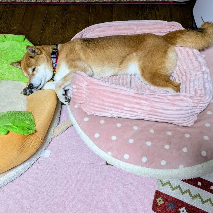 9302faba 43cd 4521 8c01 d94fc19de215 1743221963974