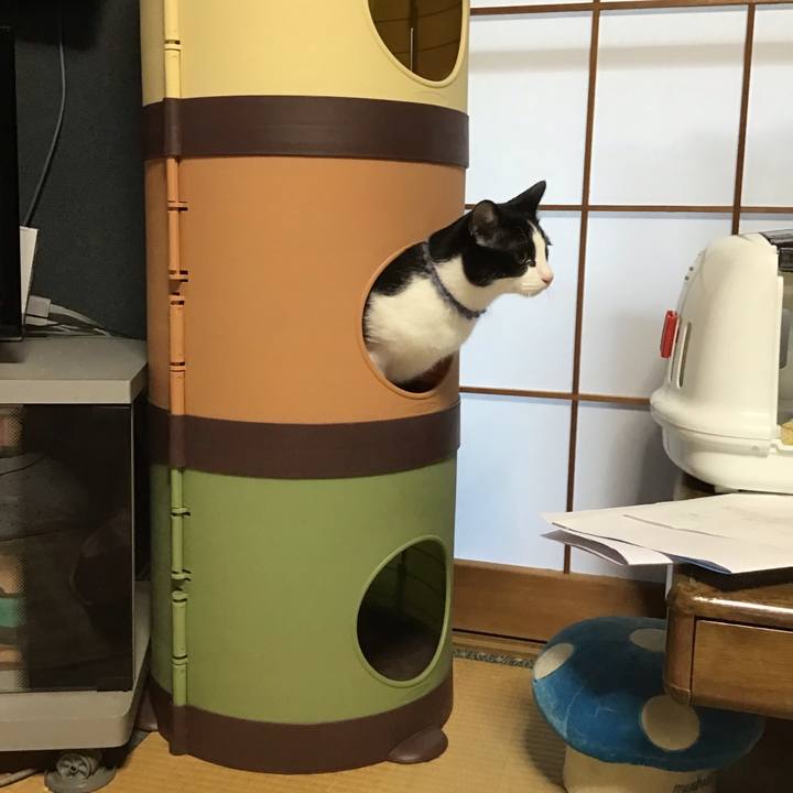 93030ef6 ca5b 4f97 b6de 5aec0ac1e972 1641163739993