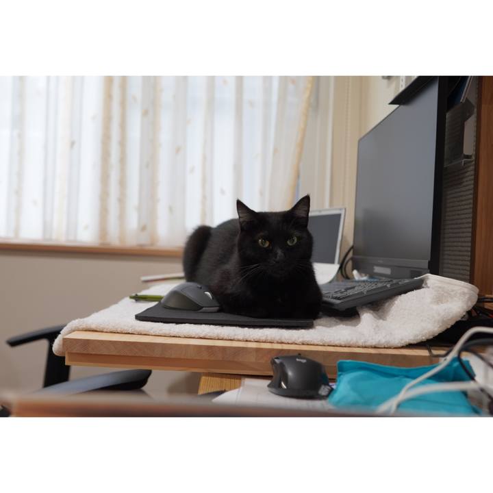 9303257b fa1a 4f0e b81c df9e0ad6a275 1606267480976