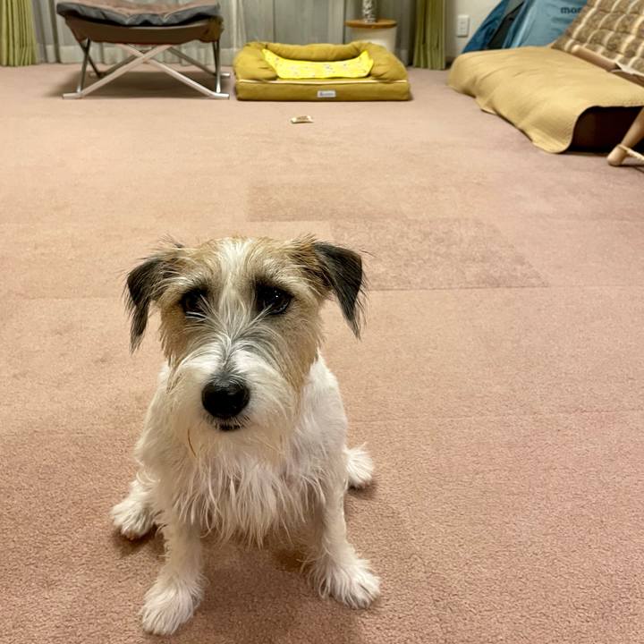 93039312 6480 4b31 ad43 4da25d8b8c4b 1665487162566