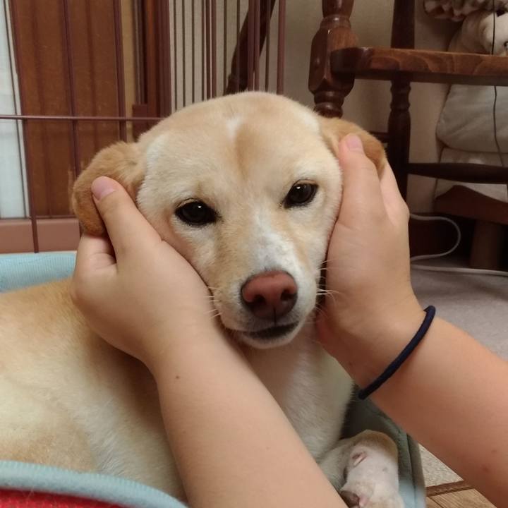 93039e69 01f6 40a1 b520 240a784649b8 1534475127033