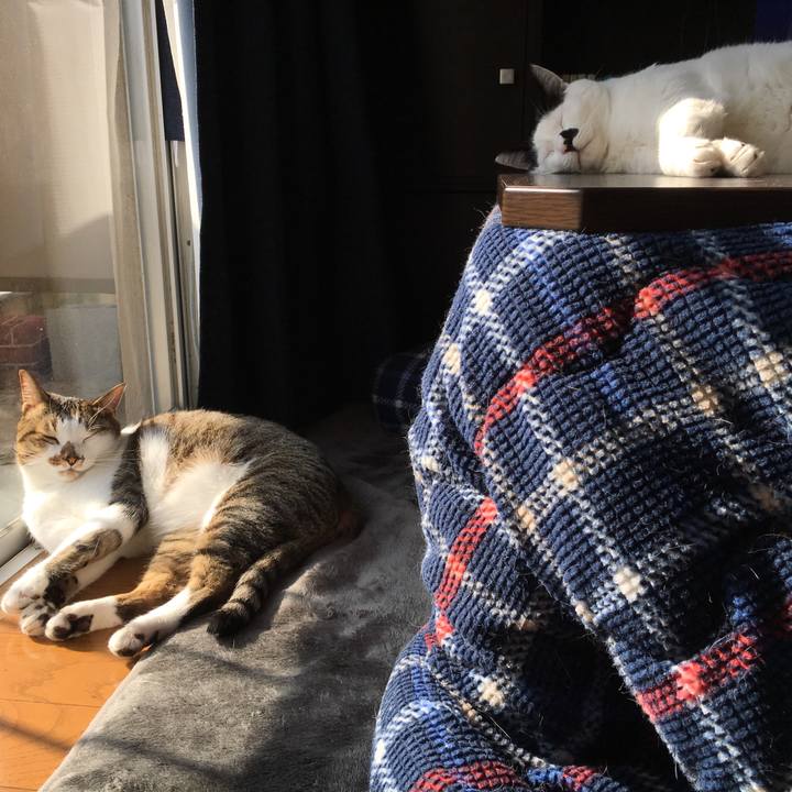 9303b021 4394 452f 88e8 3630539fcf64 1512996007391