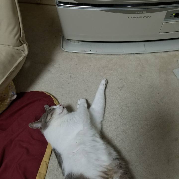 9303e76a 93c5 49f8 835c 8bd366abd16d 1515830376885