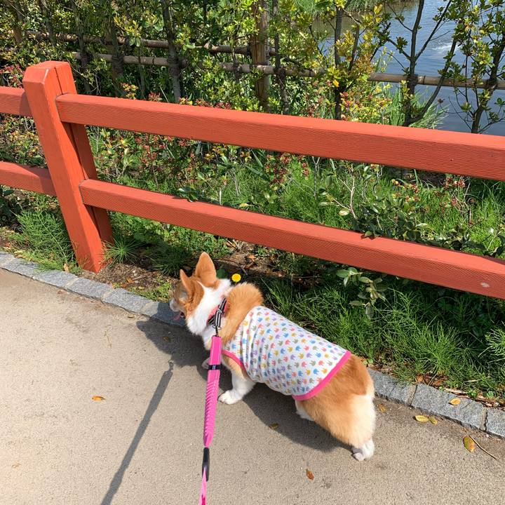 9303eed7 f304 4972 8ee0 48642fa0c11a 1587623550385