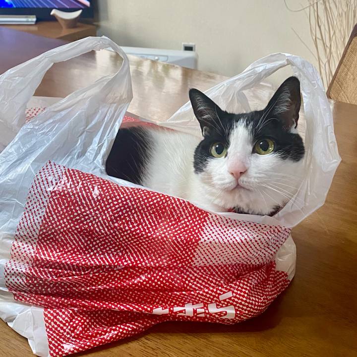 9303f534 be55 4b0b b3e2 cdce9c440e88 1738019007659