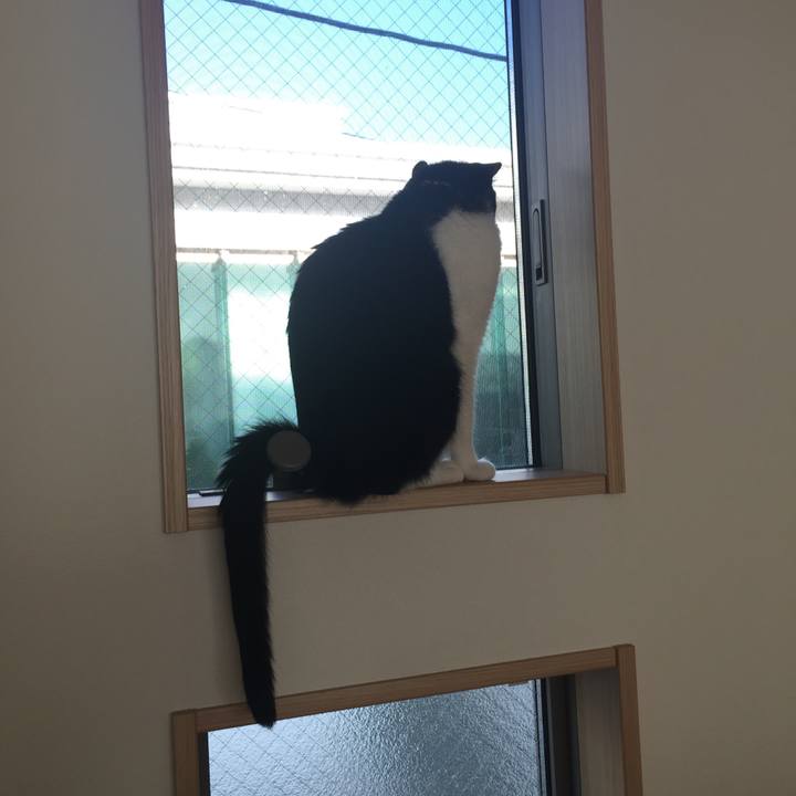 930406ca 41b8 49fa a601 cb437c75fe14 1540080978681