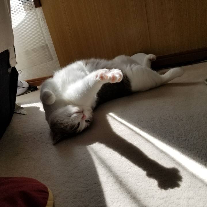 93040e9f 2441 458c 8e17 1bf825437441 1650845806955