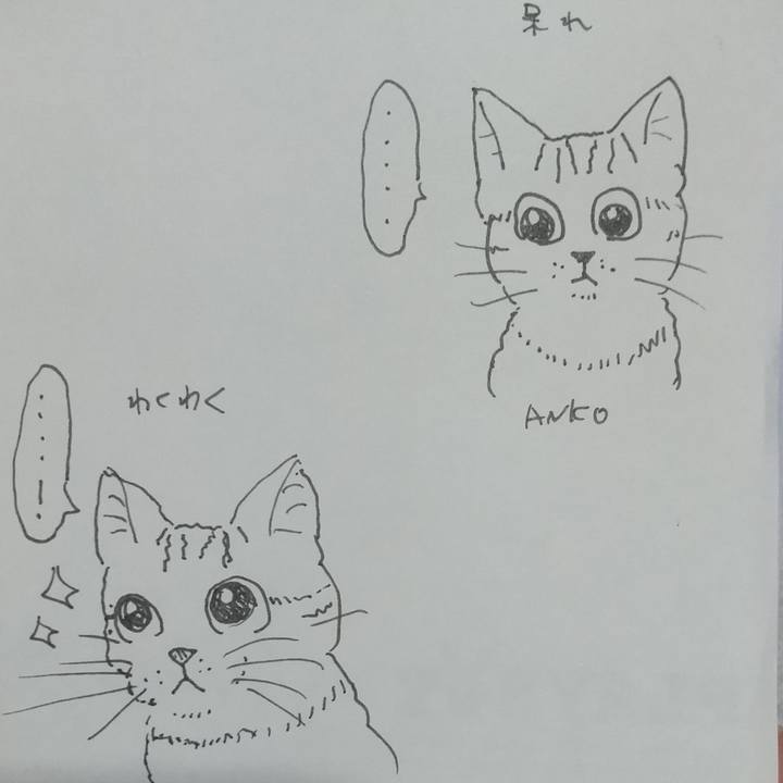 9304100b cdaa 49a8 809a b7cd14028088 1629984105393