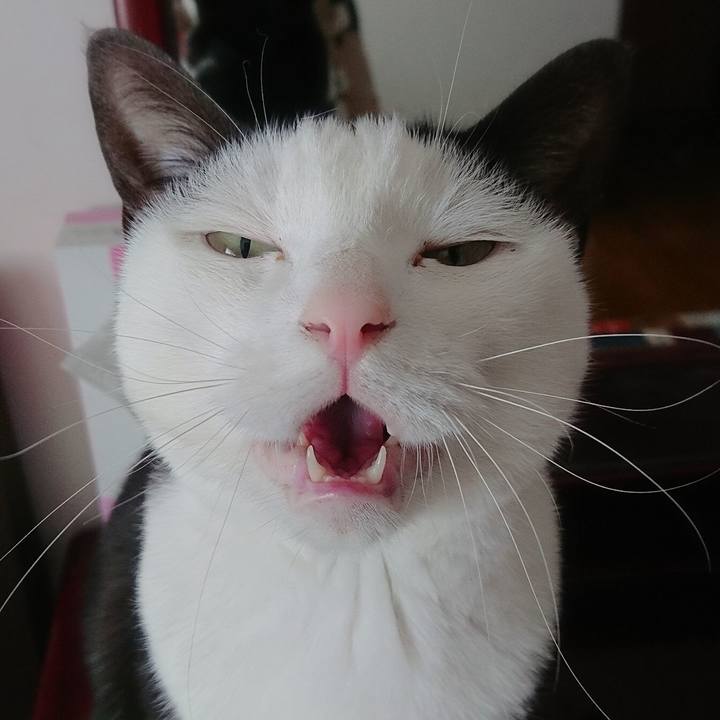 930458f3 aaf5 48d8 896e 2cf3c42ee8da 1553477633453