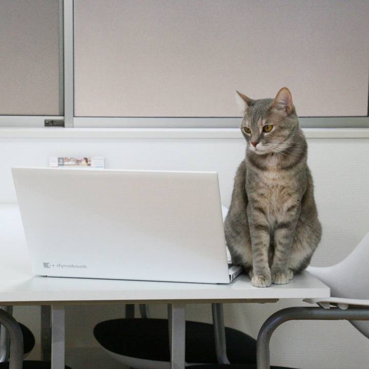 93046d39 84de 4913 aeb3 e16ab47986c5 1522200395483