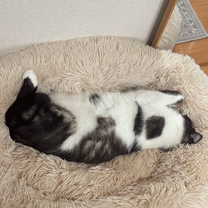 930499c3 4a41 4740 822e e351001a5e35 1764818471588