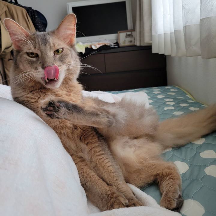 9304a52a 8442 411e 8a24 a66043adc3fa 1629000433602