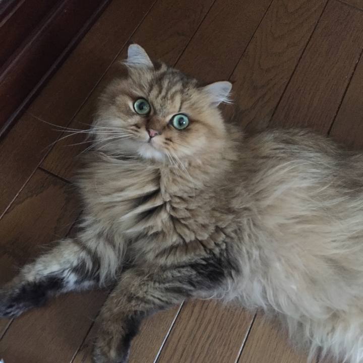 9304ad82 1818 422c 9071 52cad7eac31b 1531991530575