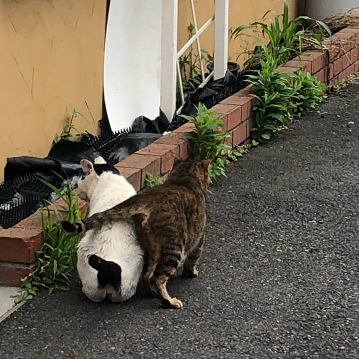 9304c23b ab29 4d07 bf88 243fd0f5a840 1562346854137