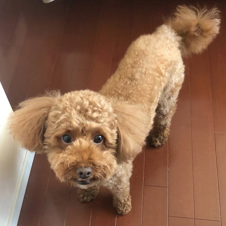 9304d28d c9c2 4b56 b081 ad050ca3d2aa 1535071550058