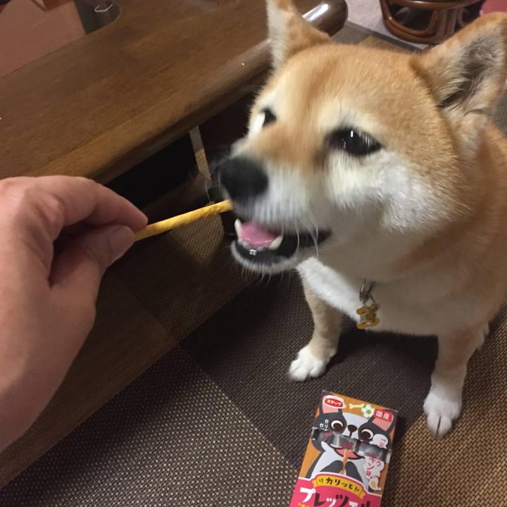 9304f1db a128 4283 82f4 42fb3ad55237 1559563175707