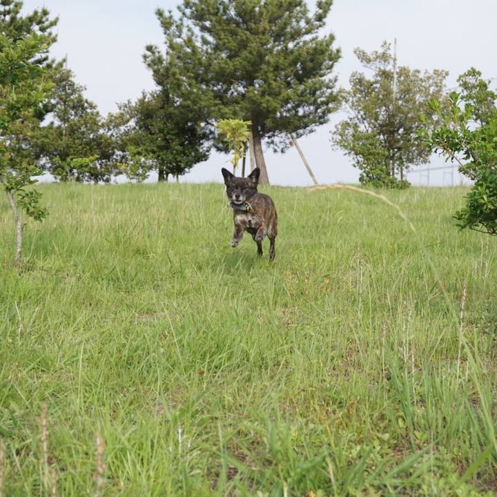 9304f61a 6a79 4024 82d3 1011dff2ca0d 1559609490396