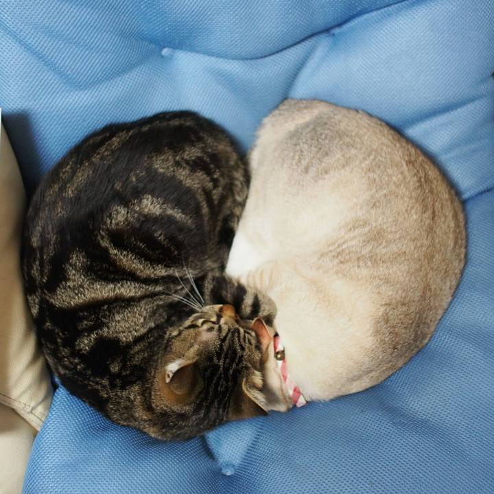 930514d5 0e73 4da2 a103 bfa655038072 1520432731730