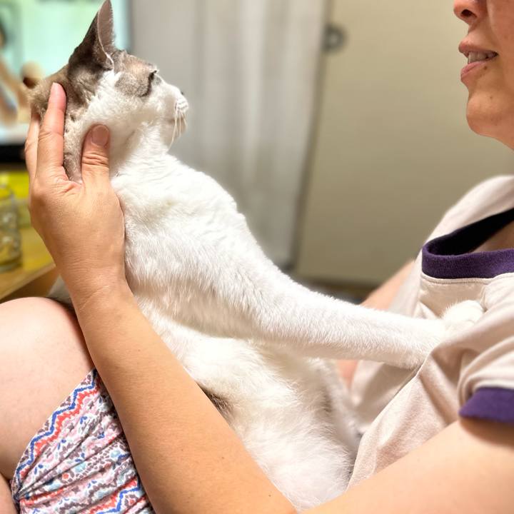 93053e86 7e6a 4b73 a577 e3a2d99b18ec 1759743447438