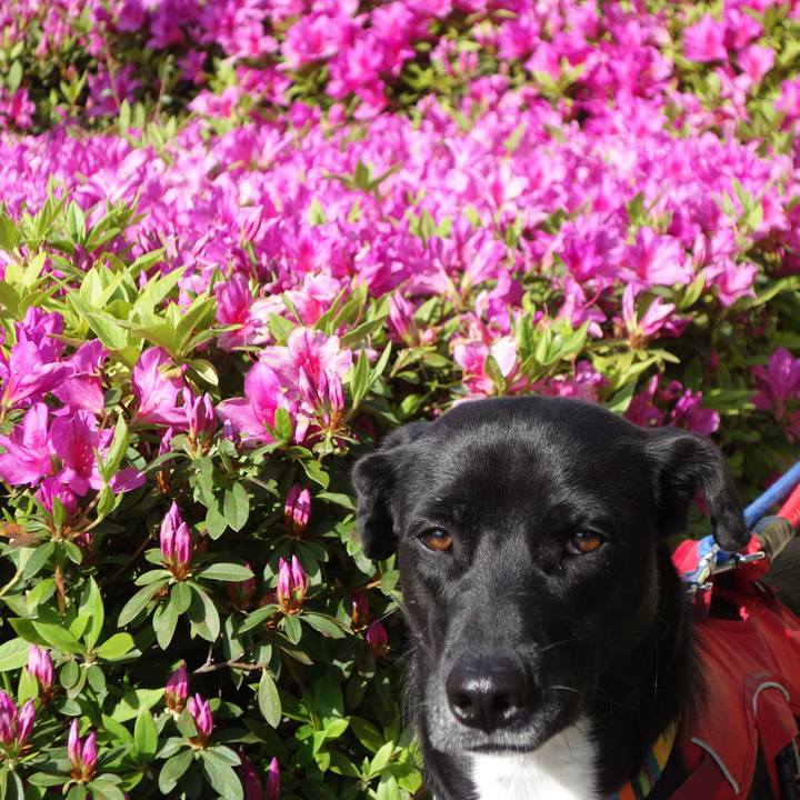 9305b7e9 53fc 4e07 b4f3 1905378105f9 1587601895470