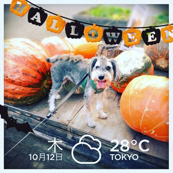 9305ce4d b637 4b0f aa3b 1fbd286dd700 1507797360263