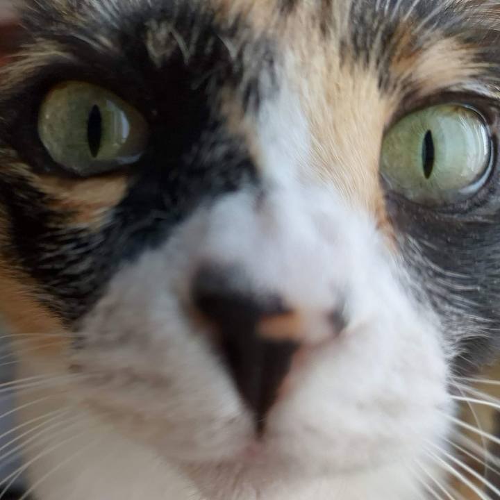 9305e01d 0c80 402c bd5d 073e8a4bb7e1 1685170437186