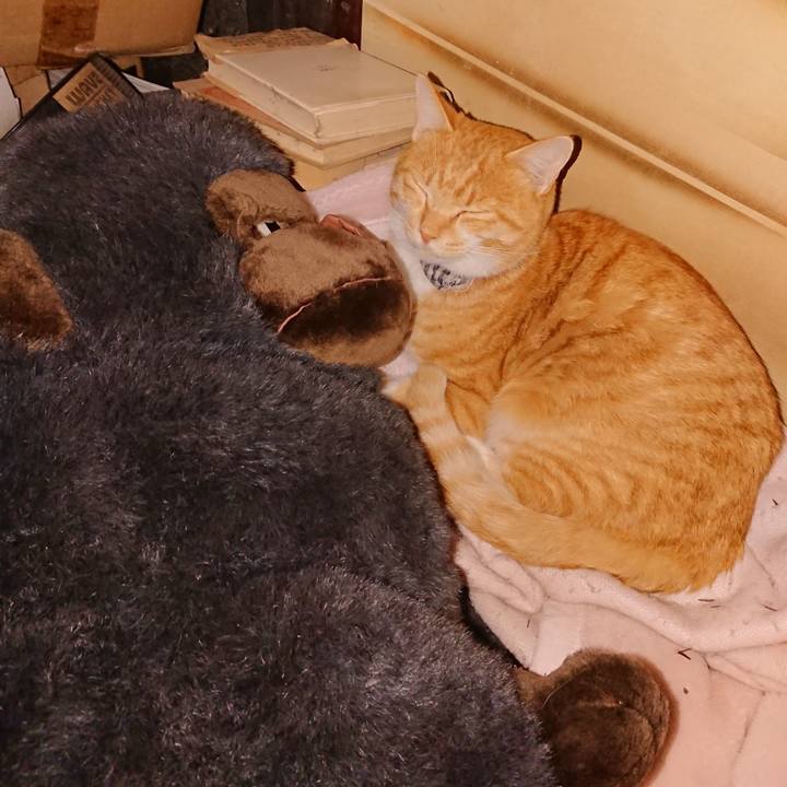 93060de7 6558 4f09 ad4d cdc0aebee0df 1573820972268