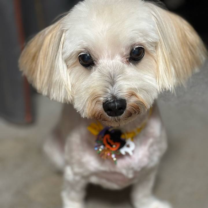 930613c6 a1a7 49a5 a804 1babc6eb3d9a 1759569008326