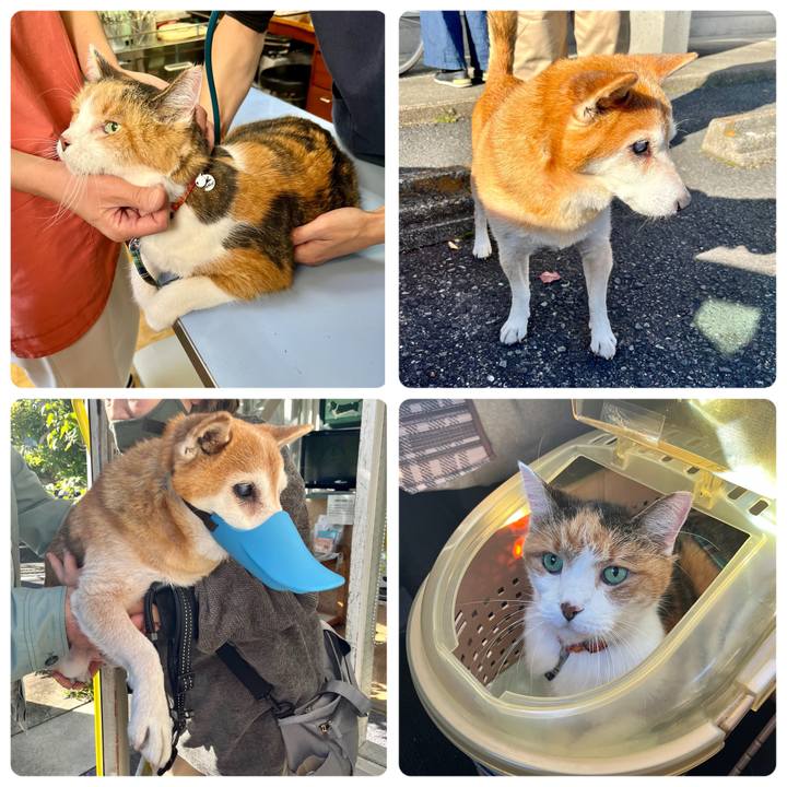 93063537 c39c 4051 abaf 37e2c281c4ed 1670810128000