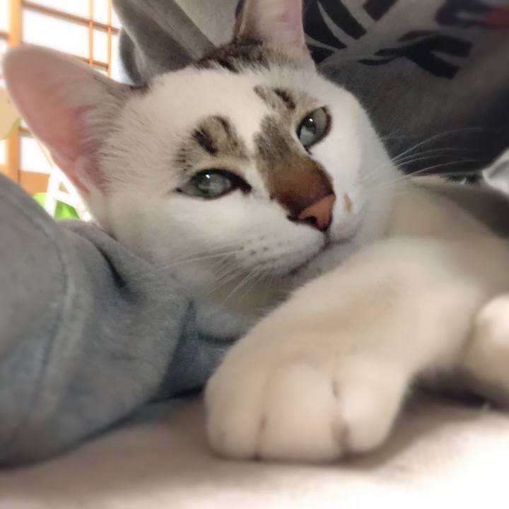 93067bbe 56f1 4699 9514 f6e3175b0320 1523527235010