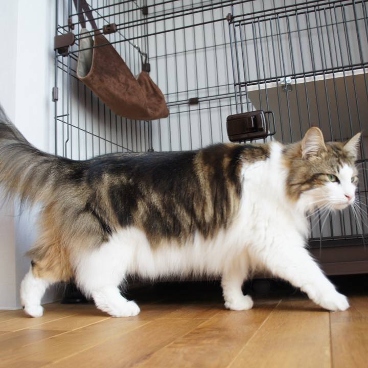 93069048 6f36 4d16 b375 92b8850aa179 1534374744932