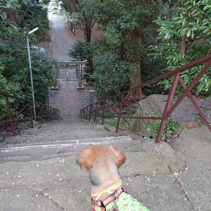 9306ad1f 1995 4f0b bfc5 1224ed71be38 1553947537861