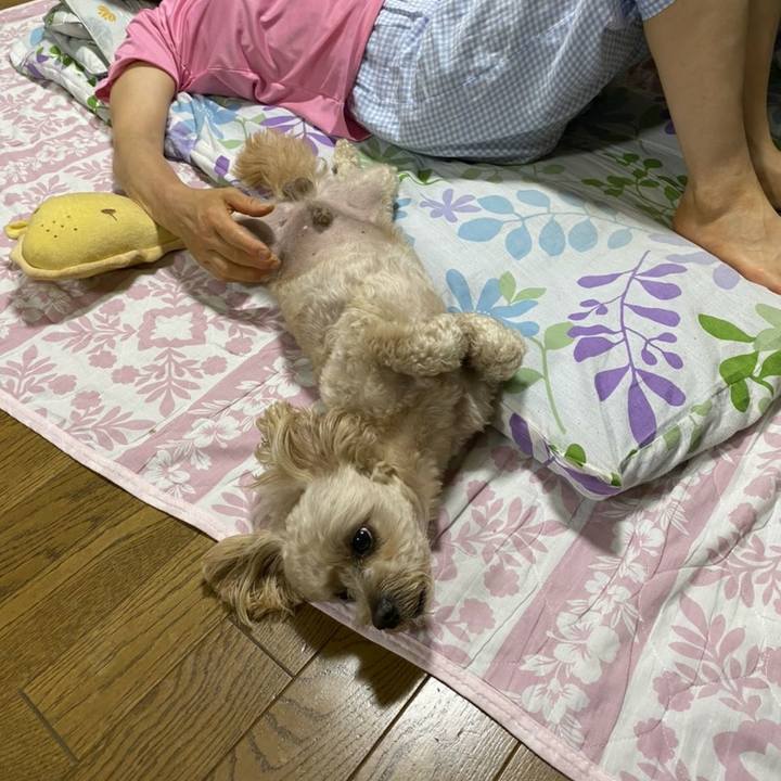 93071e76 de92 4c8b b870 a90db47b7b7c 1593696030149