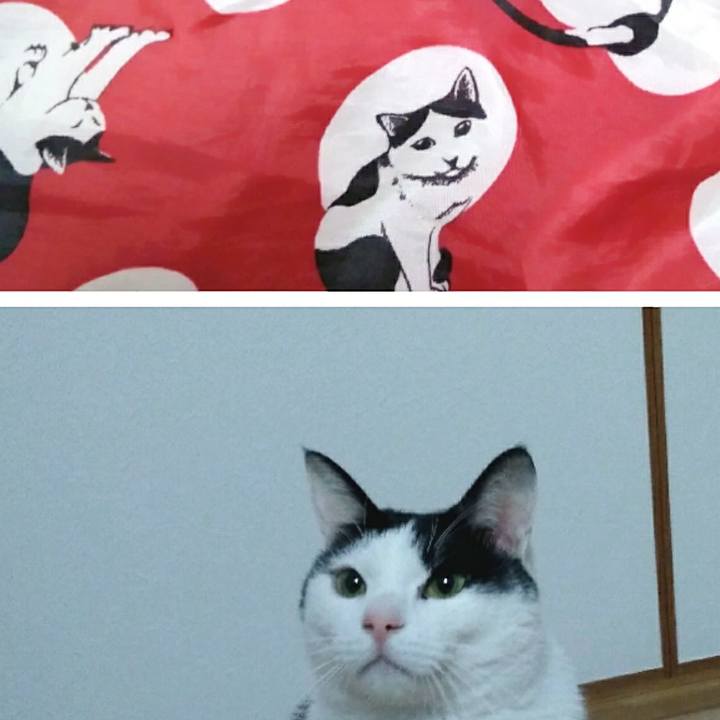 93073d58 1382 4f0a bd9a 03f4dfaaf451 1550057546508