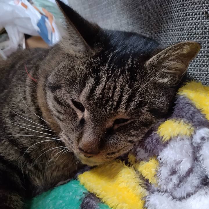 9307489a 6c6e 4cb2 8ba6 e3e345a45d5e 1672960913075